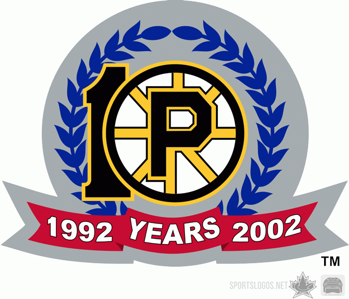 Providence Bruins 2001 02 Anniversary Logo iron on transfers for clothing